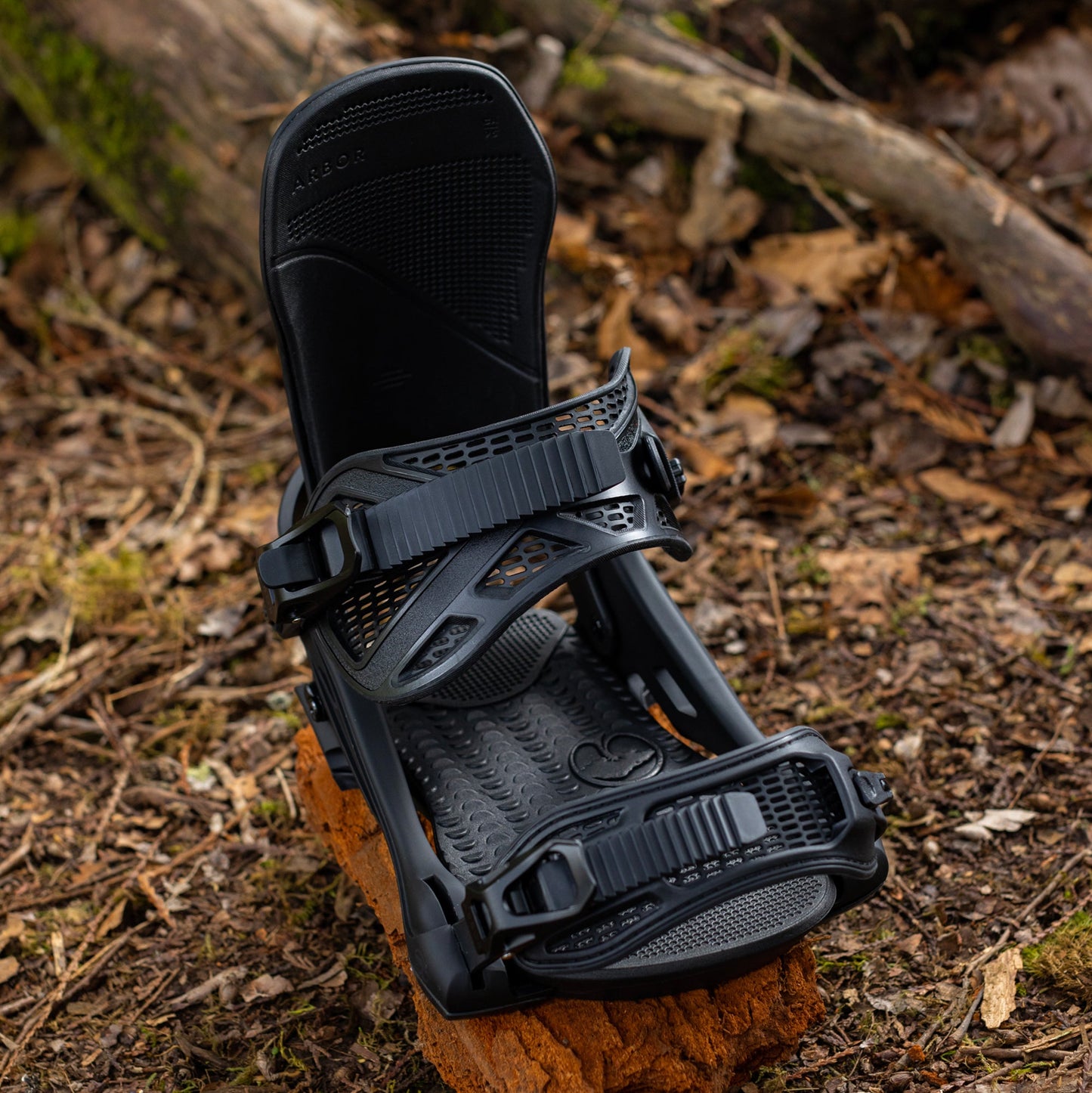 Hemlock Black