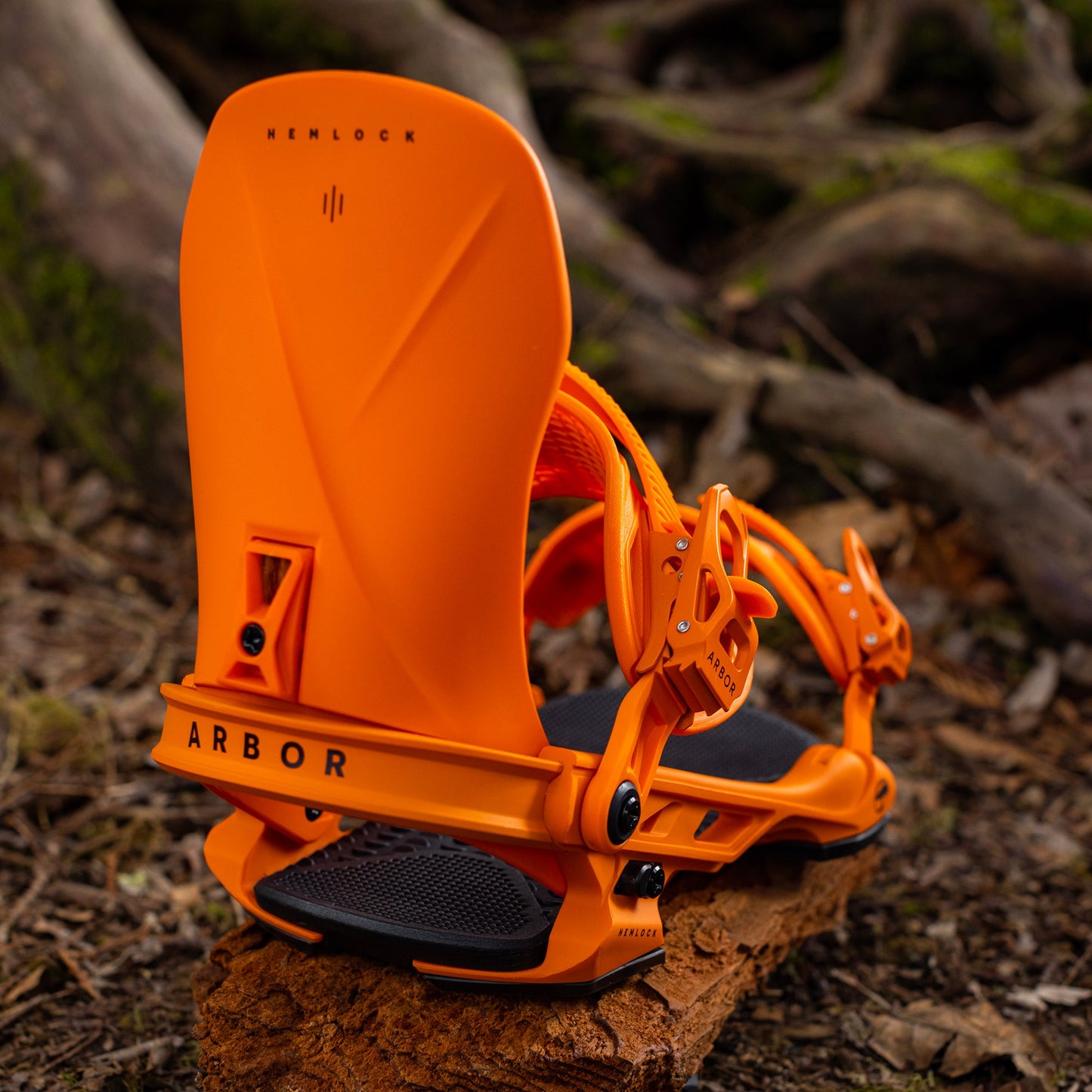 Hemlock Orange