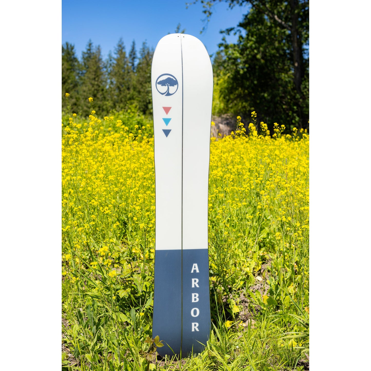 Veda Camber Splitboard