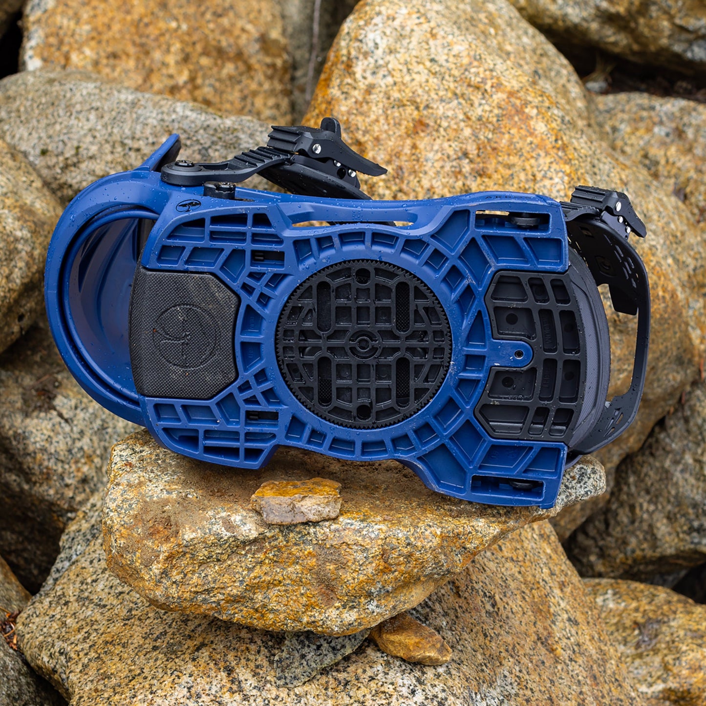 Spruce Midnight Blue