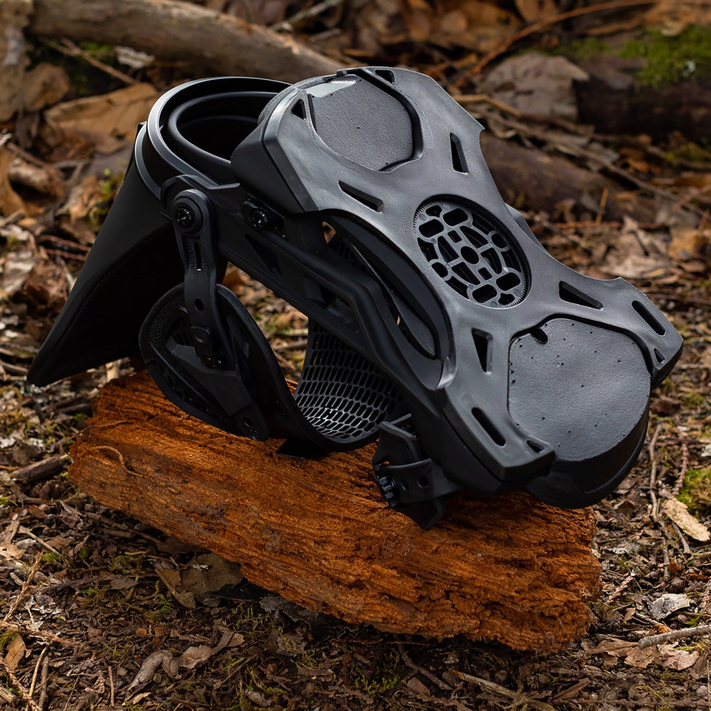 Hemlock Black