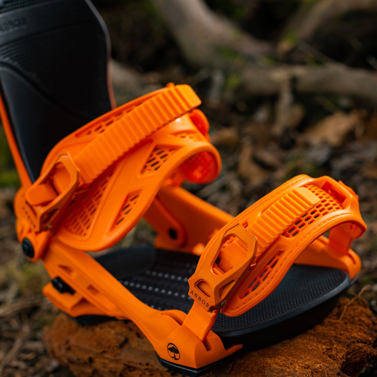 Hemlock Orange