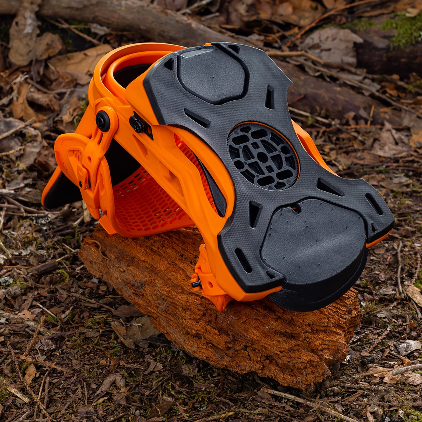 Hemlock Orange