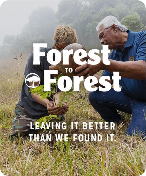 skate-promo | Forest to Forest | /pages/skate-sustainability