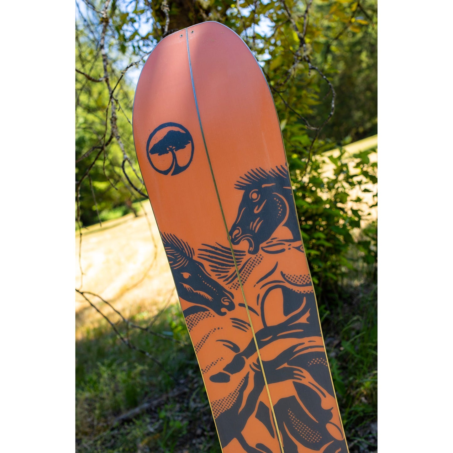 Carter Camber Splitboard